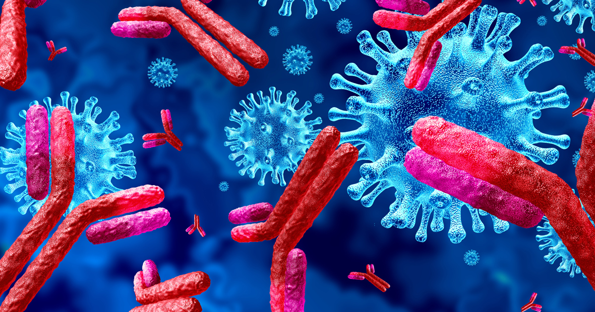 Antibodies